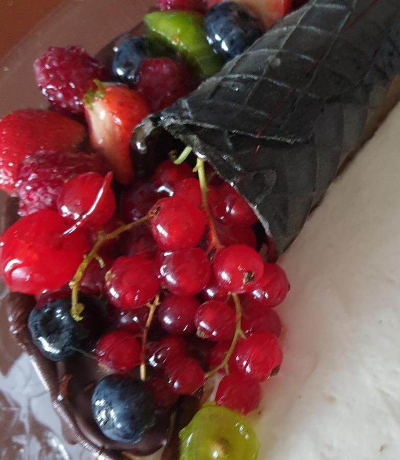 Sweet Honey Mieszkanie W Plocku Lejlighed Eksteriør billede